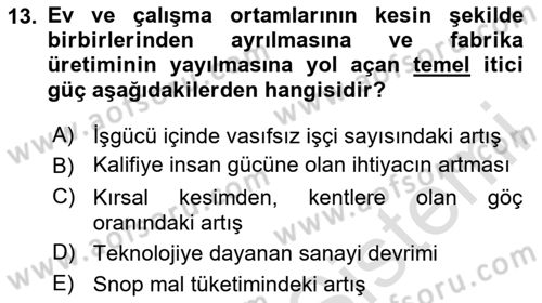 Ekonomi Sosyolojisi Dersi 2024 - 2025 Yılı (Final) Dönem Sonu Sınav Soruları 13. Soru