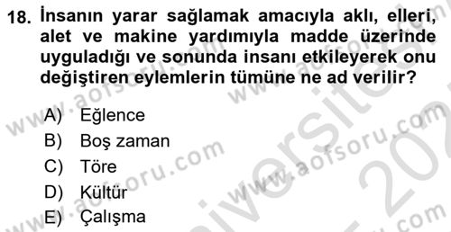 Ekonomi Sosyolojisi Dersi 2024 - 2025 Yılı (Final) Dönem Sonu Sınav Soruları 18. Soru