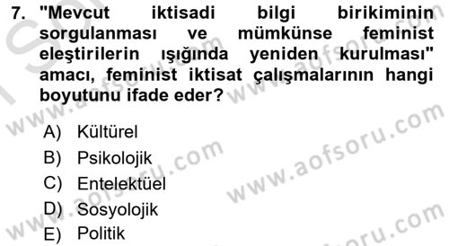 Ekonomi Sosyolojisi Dersi 2024 - 2025 Yılı (Final) Dönem Sonu Sınav Soruları 7. Soru
