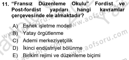 Ekonomi Sosyolojisi Dersi 2024 - 2025 Yılı Yaz Okulu Sınav Soruları 11. Soru