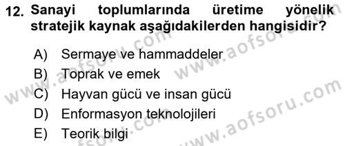 Ekonomi Sosyolojisi Dersi 2024 - 2025 Yılı Yaz Okulu Sınav Soruları 12. Soru