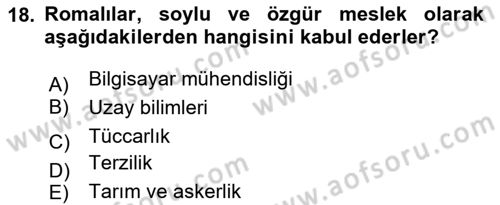 Ekonomi Sosyolojisi Dersi 2024 - 2025 Yılı Yaz Okulu Sınav Soruları 18. Soru