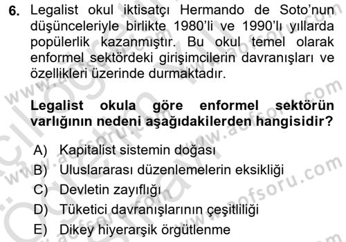 Ekonomi Sosyolojisi Dersi 2024 - 2025 Yılı Yaz Okulu Sınav Soruları 6. Soru