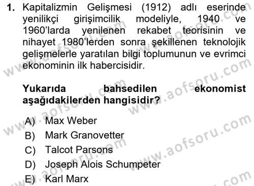 Ekonomi Sosyolojisi Dersi 2025 - 2026 Yılı (Vize) Ara Sınav Soruları 1. Soru