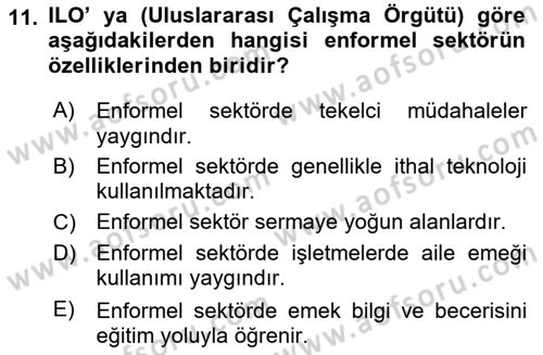 Ekonomi Sosyolojisi Dersi 2025 - 2026 Yılı (Vize) Ara Sınav Soruları 11. Soru