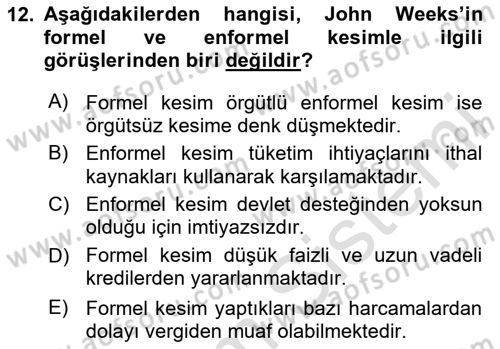 Ekonomi Sosyolojisi Dersi 2025 - 2026 Yılı (Vize) Ara Sınav Soruları 12. Soru