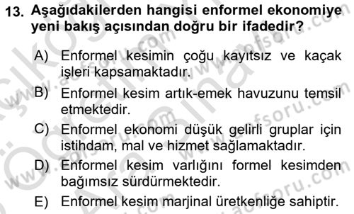 Ekonomi Sosyolojisi Dersi 2025 - 2026 Yılı (Vize) Ara Sınav Soruları 13. Soru