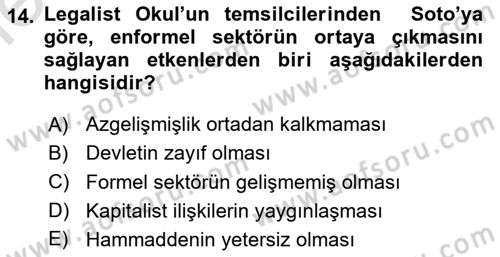 Ekonomi Sosyolojisi Dersi 2025 - 2026 Yılı (Vize) Ara Sınav Soruları 14. Soru