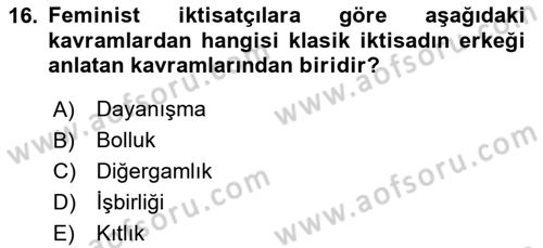 Ekonomi Sosyolojisi Dersi 2025 - 2026 Yılı (Vize) Ara Sınav Soruları 16. Soru