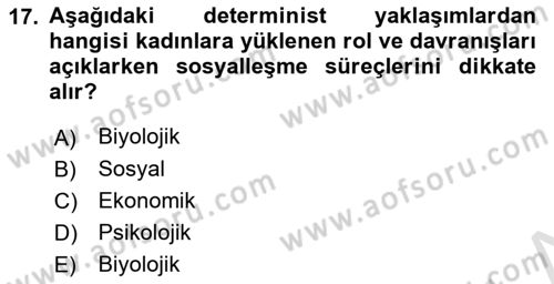 Ekonomi Sosyolojisi Dersi 2025 - 2026 Yılı (Vize) Ara Sınav Soruları 17. Soru
