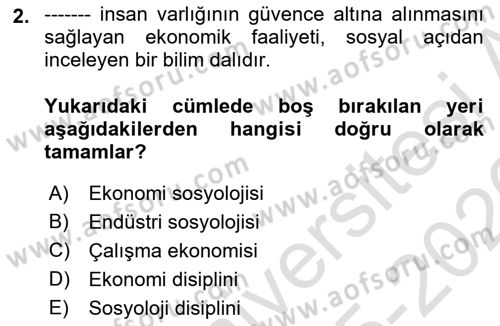 Ekonomi Sosyolojisi Dersi 2025 - 2026 Yılı (Vize) Ara Sınav Soruları 2. Soru