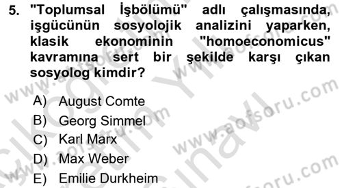 Ekonomi Sosyolojisi Dersi 2025 - 2026 Yılı (Vize) Ara Sınav Soruları 5. Soru