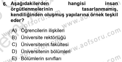 Ekonomi Sosyolojisi Dersi 2025 - 2026 Yılı (Vize) Ara Sınav Soruları 6. Soru