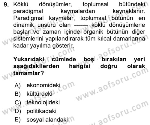 Ekonomi Sosyolojisi Dersi 2025 - 2026 Yılı (Vize) Ara Sınav Soruları 9. Soru