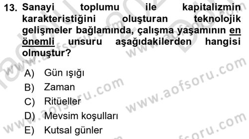 Ekonomi Sosyolojisi Dersi 2025 - 2026 Yılı (Final) Dönem Sonu Sınav Soruları 13. Soru