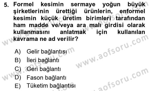 Ekonomi Sosyolojisi Dersi 2025 - 2026 Yılı (Final) Dönem Sonu Sınav Soruları 5. Soru