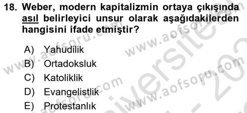 Ekonomi Sosyolojisi Dersi 2025 - 2026 Yılı Yaz Okulu Sınav Soruları 18. Soru