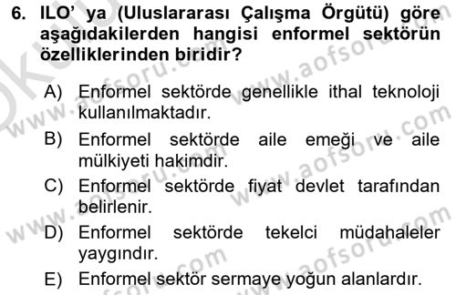 Ekonomi Sosyolojisi Dersi 2025 - 2026 Yılı Yaz Okulu Sınav Soruları 6. Soru