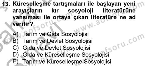 Toplumsal Tabakalaşma ve Eşitsizlik Dersi 2012 - 2013 Yılı (Vize) Ara Sınav Soruları 13. Soru