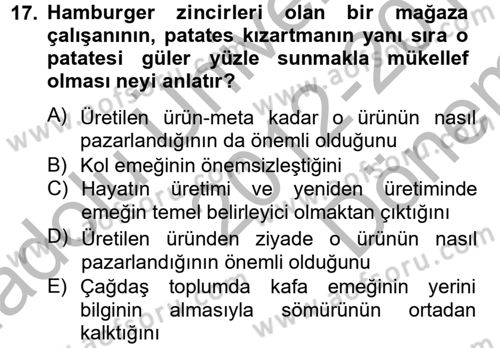 Toplumsal Tabakalaşma ve Eşitsizlik Dersi 2012 - 2013 Yılı (Final) Dönem Sonu Sınav Soruları 17. Soru