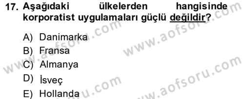 Toplumsal Tabakalaşma ve Eşitsizlik Dersi 2013 - 2014 Yılı (Vize) Ara Sınav Soruları 17. Soru