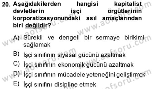 Toplumsal Tabakalaşma ve Eşitsizlik Dersi 2013 - 2014 Yılı (Vize) Ara Sınav Soruları 20. Soru