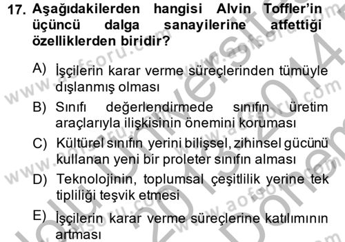 Toplumsal Tabakalaşma ve Eşitsizlik Dersi 2013 - 2014 Yılı (Final) Dönem Sonu Sınav Soruları 17. Soru