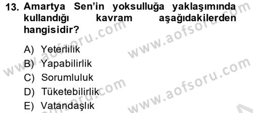 Toplumsal Tabakalaşma ve Eşitsizlik Dersi 2013 - 2014 Yılı Tek Ders Sınav Soruları 13. Soru
