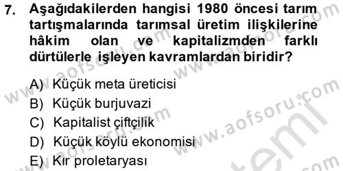 Toplumsal Tabakalaşma ve Eşitsizlik Dersi 2013 - 2014 Yılı Tek Ders Sınav Soruları 7. Soru