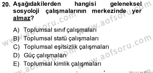 Toplumsal Tabakalaşma ve Eşitsizlik Dersi 2014 - 2015 Yılı (Vize) Ara Sınav Soruları 20. Soru