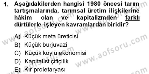 Toplumsal Tabakalaşma ve Eşitsizlik Dersi 2014 - 2015 Yılı (Final) Dönem Sonu Sınav Soruları 1. Soru