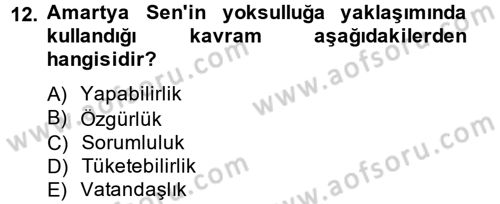Toplumsal Tabakalaşma ve Eşitsizlik Dersi 2014 - 2015 Yılı Tek Ders Sınav Soruları 12. Soru