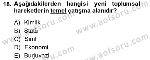 Toplumsal Tabakalaşma ve Eşitsizlik Dersi 2014 - 2015 Yılı Tek Ders Sınav Soruları 18. Soru
