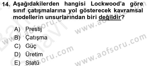 Toplumsal Tabakalaşma ve Eşitsizlik Dersi 2015 - 2016 Yılı (Vize) Ara Sınav Soruları 14. Soru