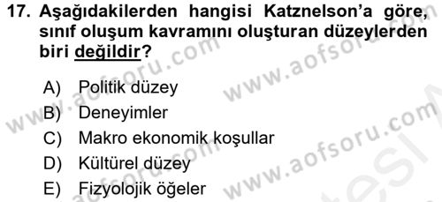 Toplumsal Tabakalaşma ve Eşitsizlik Dersi 2015 - 2016 Yılı (Vize) Ara Sınav Soruları 17. Soru