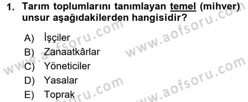 Toplumsal Tabakalaşma ve Eşitsizlik Dersi 2015 - 2016 Yılı (Final) Dönem Sonu Sınav Soruları 1. Soru
