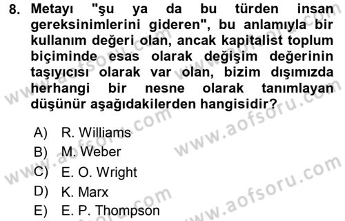 Toplumsal Tabakalaşma ve Eşitsizlik Dersi 2015 - 2016 Yılı (Final) Dönem Sonu Sınav Soruları 8. Soru