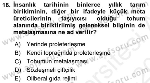 Toplumsal Tabakalaşma ve Eşitsizlik Dersi 2015 - 2016 Yılı Tek Ders Sınav Soruları 16. Soru