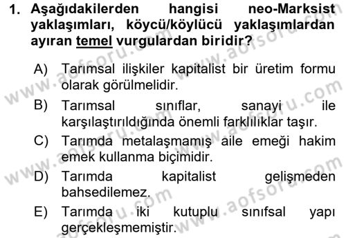 Toplumsal Tabakalaşma ve Eşitsizlik Dersi 2016 - 2017 Yılı 3 Ders Sınav Soruları 1. Soru