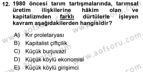 Toplumsal Tabakalaşma ve Eşitsizlik Dersi 2016 - 2017 Yılı 3 Ders Sınav Soruları 12. Soru