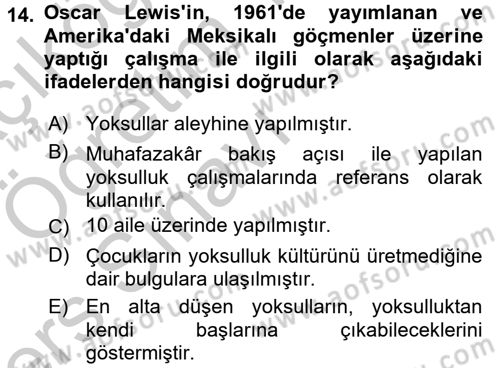 Toplumsal Tabakalaşma ve Eşitsizlik Dersi 2016 - 2017 Yılı 3 Ders Sınav Soruları 14. Soru