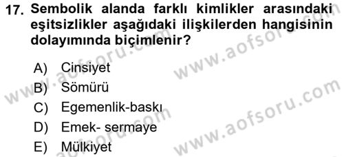 Toplumsal Tabakalaşma ve Eşitsizlik Dersi 2016 - 2017 Yılı 3 Ders Sınav Soruları 17. Soru