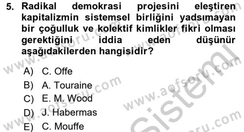 Toplumsal Tabakalaşma ve Eşitsizlik Dersi 2016 - 2017 Yılı 3 Ders Sınav Soruları 5. Soru