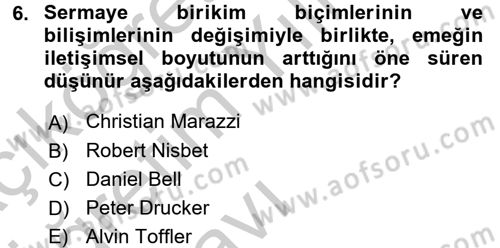Toplumsal Tabakalaşma ve Eşitsizlik Dersi 2016 - 2017 Yılı 3 Ders Sınav Soruları 6. Soru