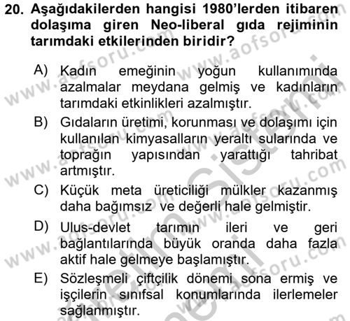 Toplumsal Tabakalaşma ve Eşitsizlik Dersi 2016 - 2017 Yılı (Vize) Ara Sınav Soruları 20. Soru