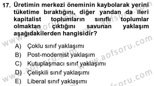 Toplumsal Tabakalaşma ve Eşitsizlik Dersi 2016 - 2017 Yılı (Final) Dönem Sonu Sınav Soruları 17. Soru