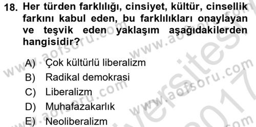 Toplumsal Tabakalaşma ve Eşitsizlik Dersi 2016 - 2017 Yılı (Final) Dönem Sonu Sınav Soruları 18. Soru