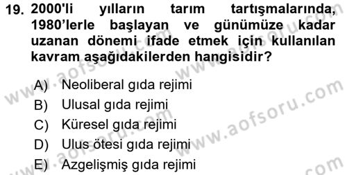 Toplumsal Tabakalaşma ve Eşitsizlik Dersi 2016 - 2017 Yılı (Final) Dönem Sonu Sınav Soruları 19. Soru