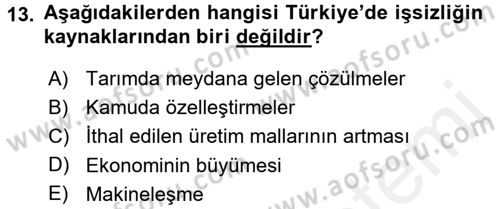 Toplumsal Tabakalaşma ve Eşitsizlik Dersi 2017 - 2018 Yılı 3 Ders Sınav Soruları 13. Soru