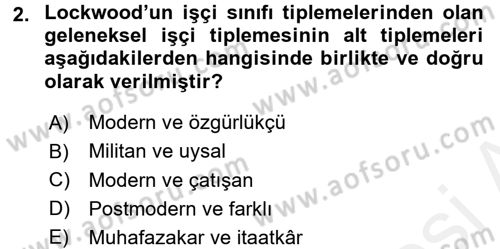 Toplumsal Tabakalaşma ve Eşitsizlik Dersi 2017 - 2018 Yılı 3 Ders Sınav Soruları 2. Soru